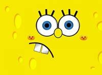 pic for Sponge Bob 1920x1408